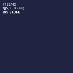 #1E2442 - Big Stone Color Image